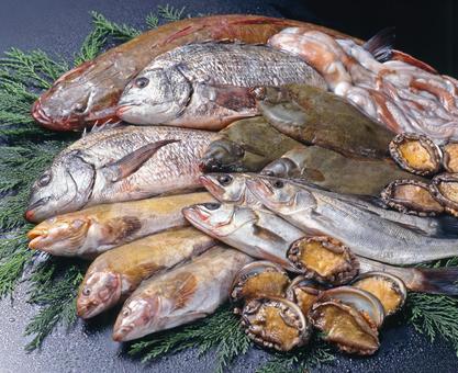鮮魚集合 鮮魚集合 鮮魚,集合,盛り合わせの写真素材