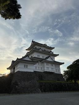 夕焼けの小田原城② 夕焼けの小田原城②の写真