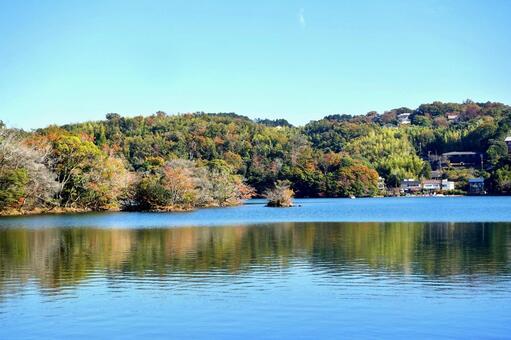 秋の映り込み　一碧湖 映り込み,反射,紅葉の写真素材