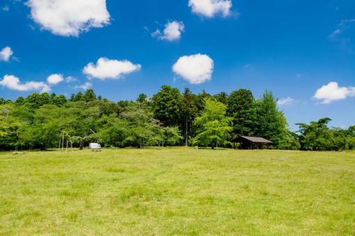 真夏の公園⑹ 真夏の公園⑹ 公園,夏,日差しの写真素材