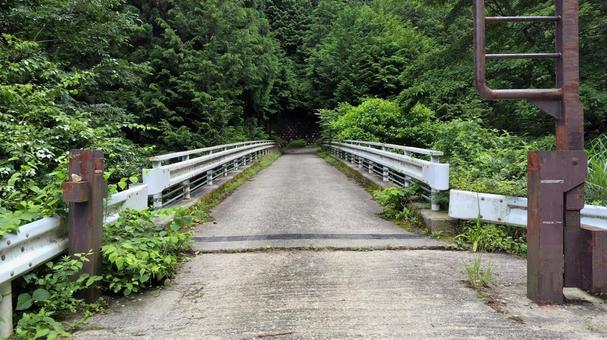 Photo, forest road, gate, guardrail, 