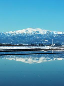 山形県の月山 自然,田,田んぼの写真素材