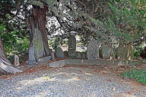 光明寺(塩尻) 光明寺(塩尻)の写真