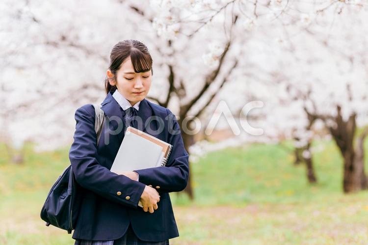 桜の中を歩く落ち込む・悩む高校生 高校生,中学生,落ち込むの写真素材