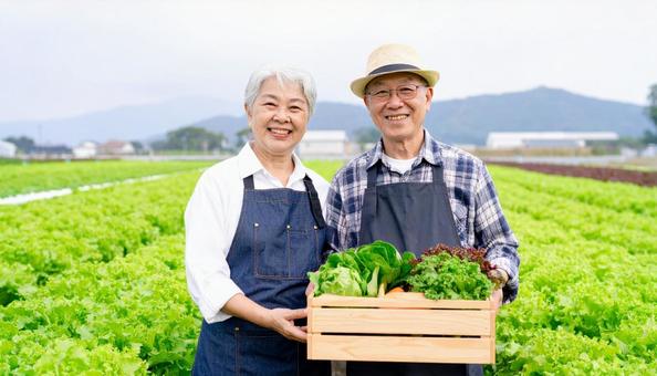 野菜畑で野菜を抱えるシニア夫婦 野菜畑で野菜を抱えるシニア夫婦の写真