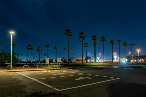 夜の宮崎ポートパーク 夜,夜景,ヤシの写真素材