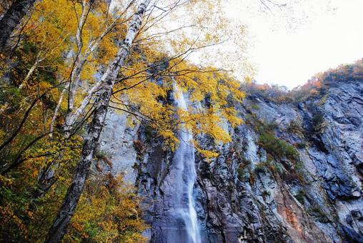 Photo, shinshu, suzaka, yonago waterfall, 