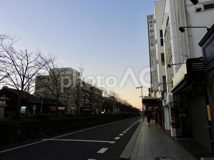 夜明け前の鎌倉市若宮大路 若宮大路,鎌倉市,鎌倉の写真素材