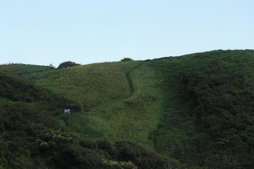Photo, minamiizu, yusuge park, the scenery, 
