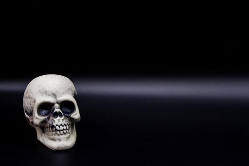 黒背景　頭蓋骨（スカル）の置物 頭蓋骨,スカル,ドクロの写真素材