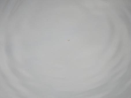 Photo, water, wheel, gray, 