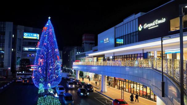 所沢駅のクリスマスツリー（埼玉県所沢市） 冬,クリスマス,イルミネーションの写真素材