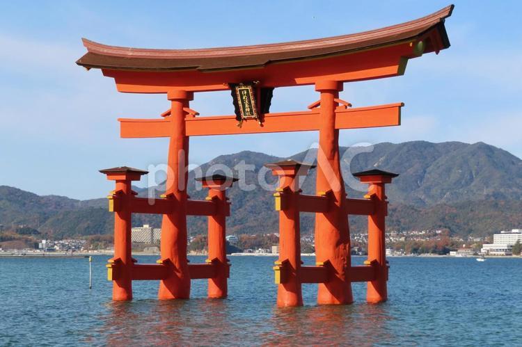 改修工事終了後の日本三景安芸の宮島大鳥居 宮島,厳島神社,大鳥居の写真素材