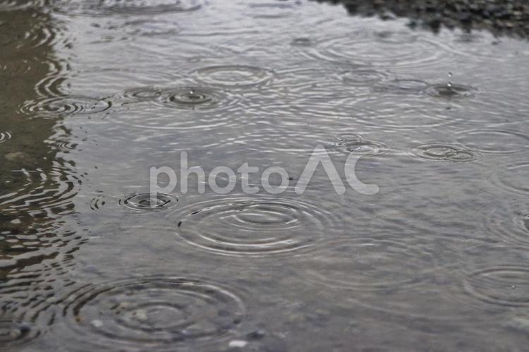 水たまりに現れる波紋 波紋,水たまり,水滴の写真素材