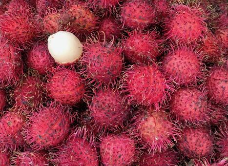 ランブータンの写真