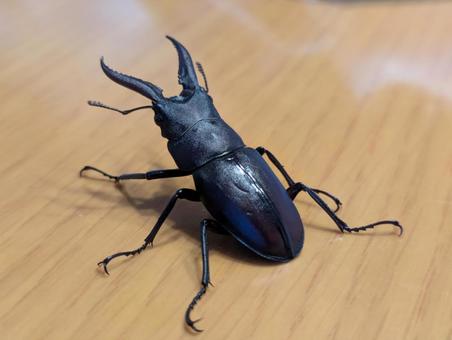 クワガタ クワガタ,夏,夏休みの写真素材