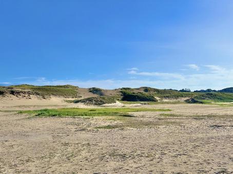 砂丘 旅,砂丘,砂浜の写真素材