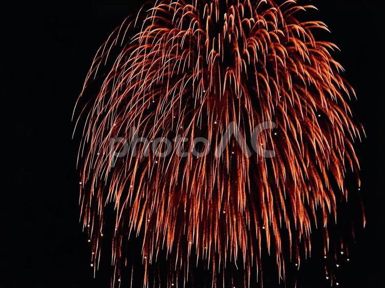 漆黒の夜に咲く赤い花火 花火,打ち上げ花火,夜空の写真素材