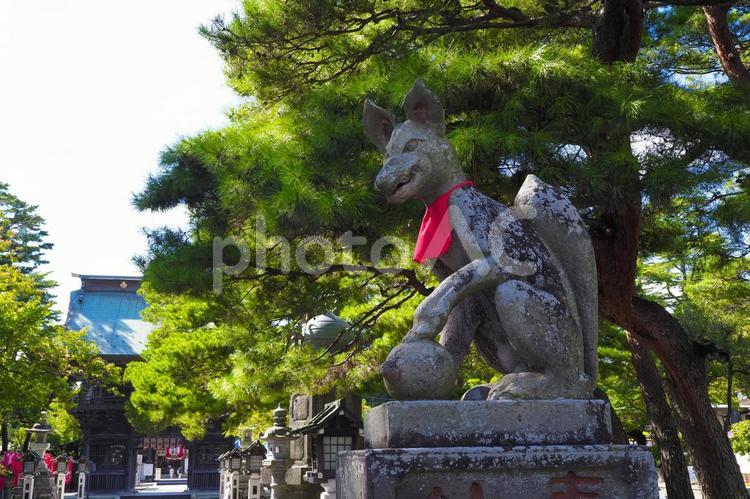 竹駒神社の風景 宮城県岩沼市 神社,神社仏閣,稲荷神社の写真素材