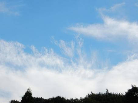 【空の写真】秋空 秋空,空,雲の写真素材