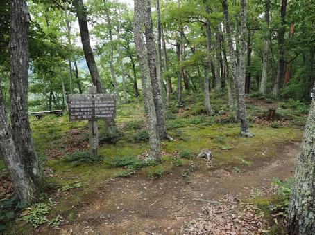 本城山山頂(砥石城本城跡) 本城山山頂(砥石城本城跡)の写真