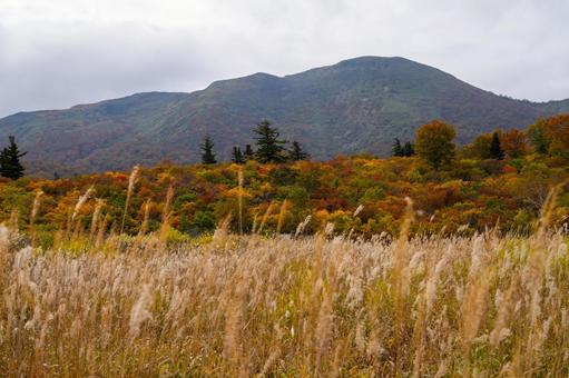 栗駒山 稜線の紅葉と岩鏡湿原の草紅葉 秋,紅葉,黄葉の写真素材