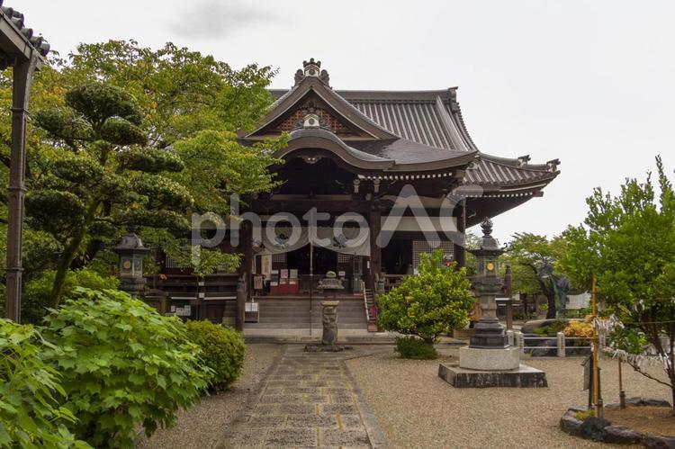 奈良県　橘寺　本堂 橘寺,お寺,寺社の写真素材