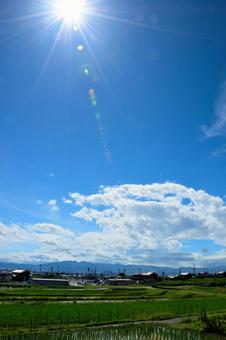 夏の空の写真
