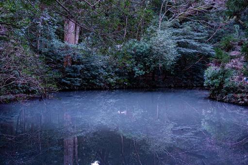 森が映りこんだ池の水面 池,リフレクション,反射の写真素材