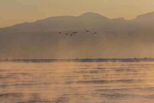 気嵐の海を渡る鳥の群れ 雨晴海岸,海,冬の写真素材