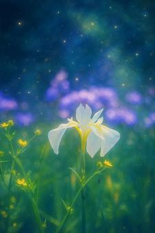 A flower blooming in the garden of dreams, ai processing, iris, a show, JPG