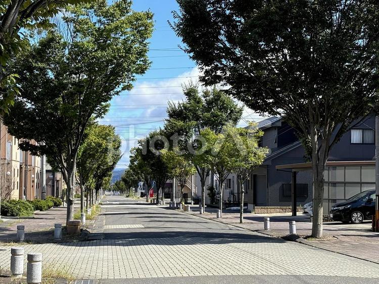 住宅街の並木道 住宅街,並木道,街路樹の写真素材
