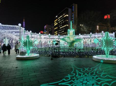幻想的な夜：雪の結晶イルミネーション イルミネーション,ホワイトイルミネーション,札幌の写真素材