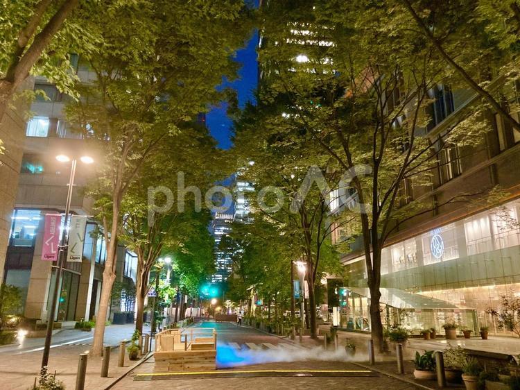 夜の丸の内仲通り 空,夜,夜景の写真素材