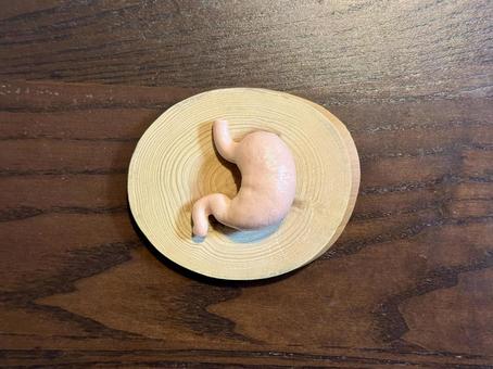 胃のイメージ 鑑定,調査,点検の写真素材