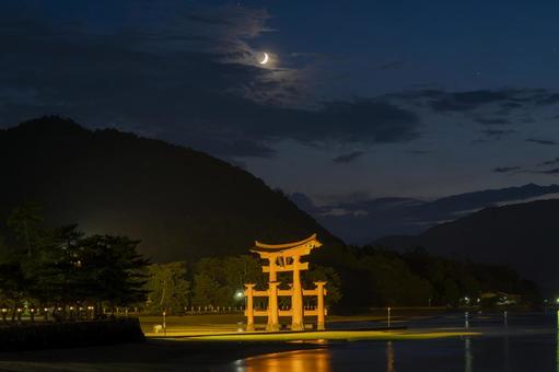 ライトアップされた厳島神社大鳥居① ライトアップされた厳島神社大鳥居① 宮島,厳島神社,神社の写真素材