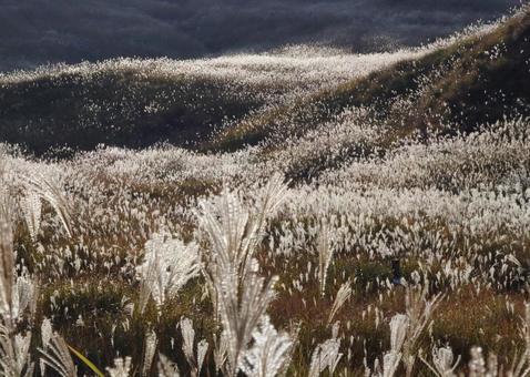 輝く 輝くの写真