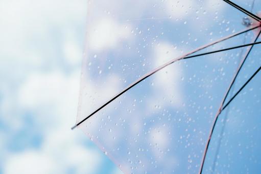 雨上がり 雨上がりの写真