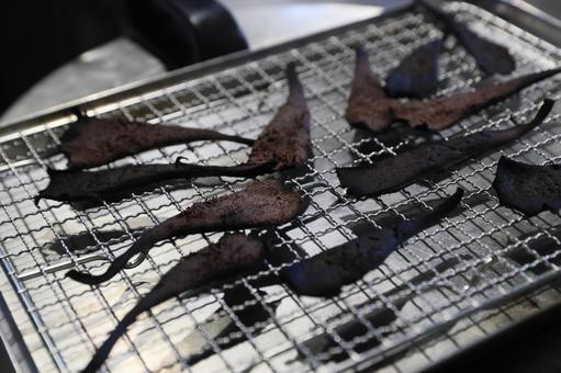 香茸(コウタケ)乾燥中 香茸(コウタケ)乾燥中 香茸,コウタケ,シシタケの写真素材