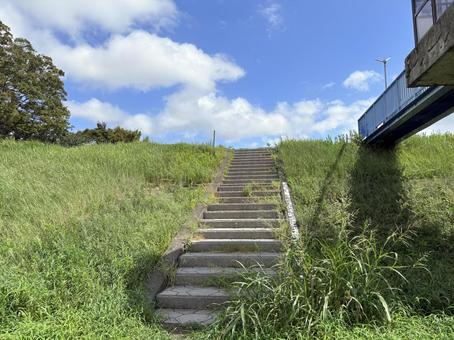 草に隠れた階段 草に隠れた階段 階段,堤防,青空の写真素材