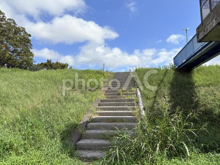 草に隠れた階段 階段,堤防,青空の写真素材