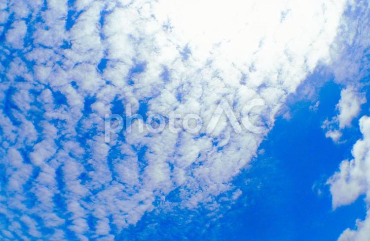 アニメのような鮮やかな秋の日のうろこ雲 うろこ雲,空色,イメージの写真素材