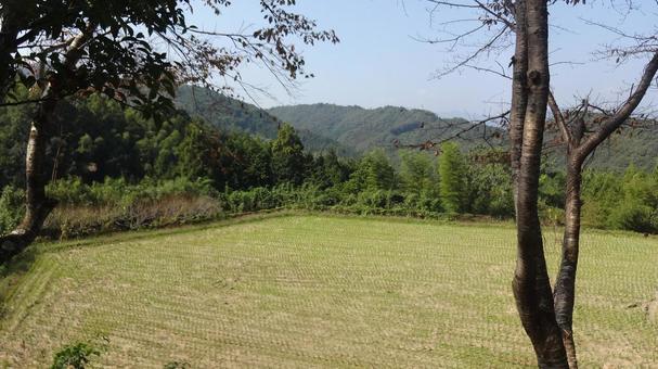 10月 稲刈り後の田んぼ 2 10月 稲刈り後の田んぼ 2 里山,田んぼ,10月の写真素材