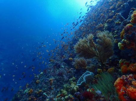 海の景色の写真