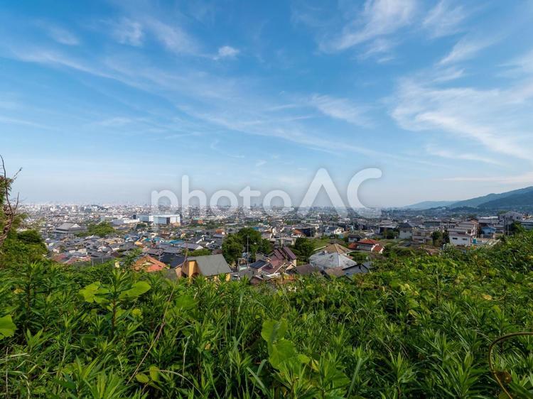 高台から見た街の景色 高台,町並み,街並みの写真素材
