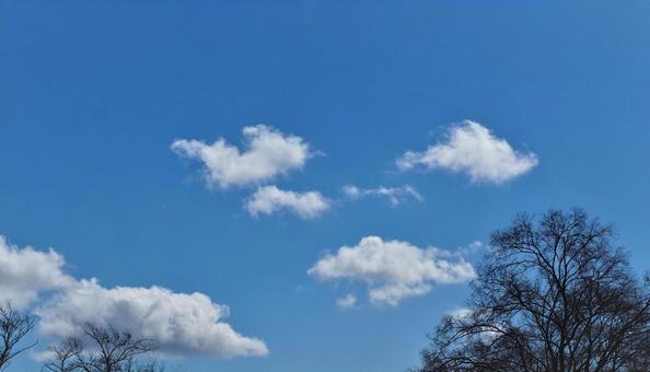 冬の青空と雲 冬の青空と雲の写真