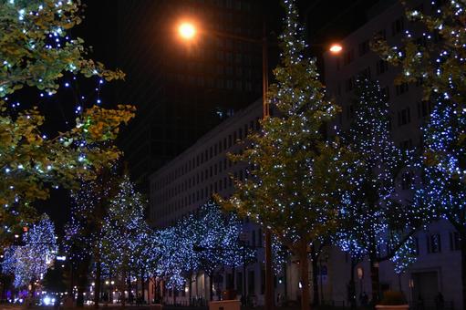 御堂筋イルミネーション 御堂筋,イルミネーション,夜景の写真素材