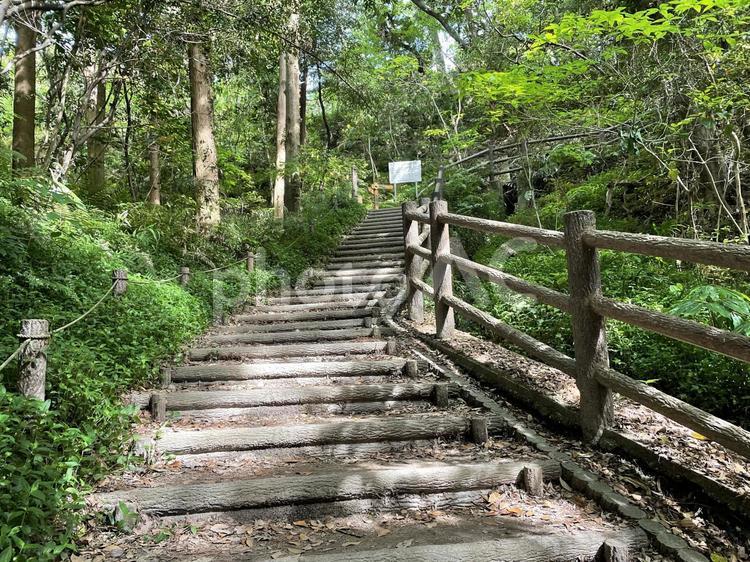 山の中の階段 山,自然,階段の写真素材
