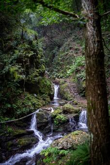 苔むす森と清流の滝 自然,風景,滝の写真素材