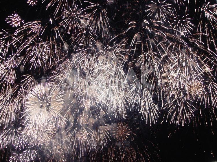 長岡花火（画面いっぱい）03 長岡花火,花火大会,大花火大会の写真素材